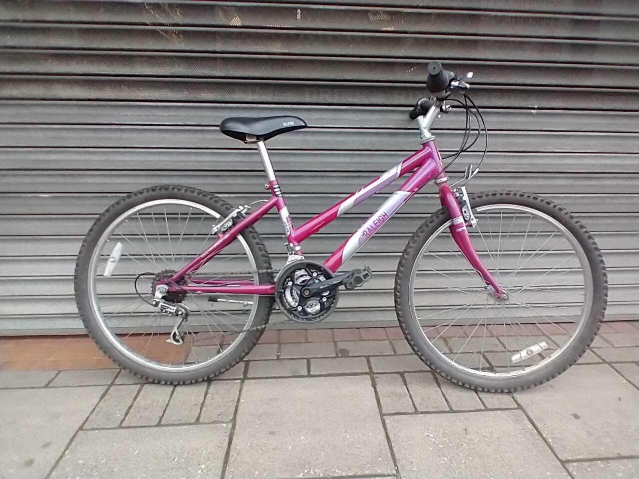 Raleigh_Kobo